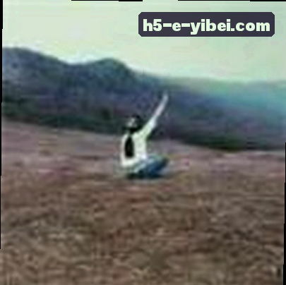赵磊